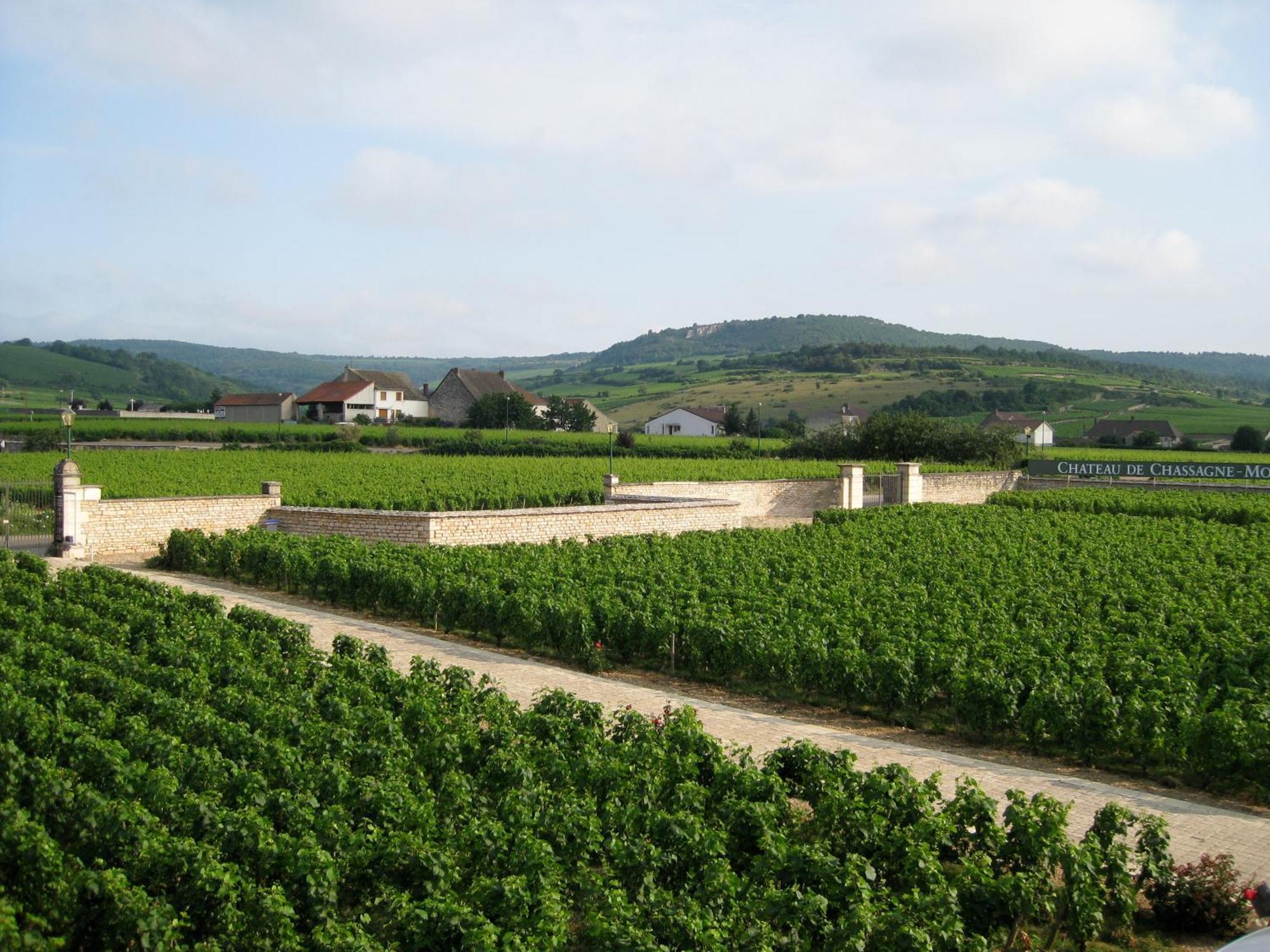 Chateau De Chassagne-Montrachet Bed & Breakfast Exterior photo